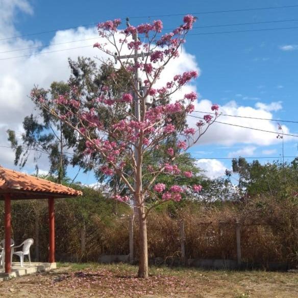 Condomínio Arca de Nóe - ap 27 Gravatá Exterior foto